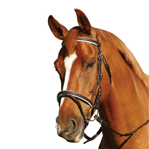 EUREKA – EVENTING BRIDLE - Rugs4horses