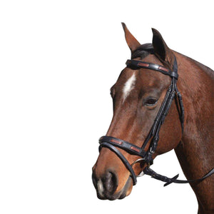 MCALISTER – CONTRAST HANOVERIAN BRIDLE - Rugs4horses