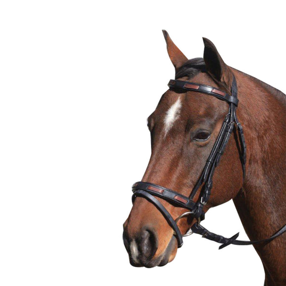 MCALISTER – CONTRAST HANOVERIAN BRIDLE - Rugs4horses
