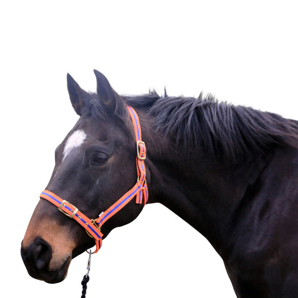 EUREKA – VICTORIA WARMBLOOD HEADSTALL - Rugs4horses