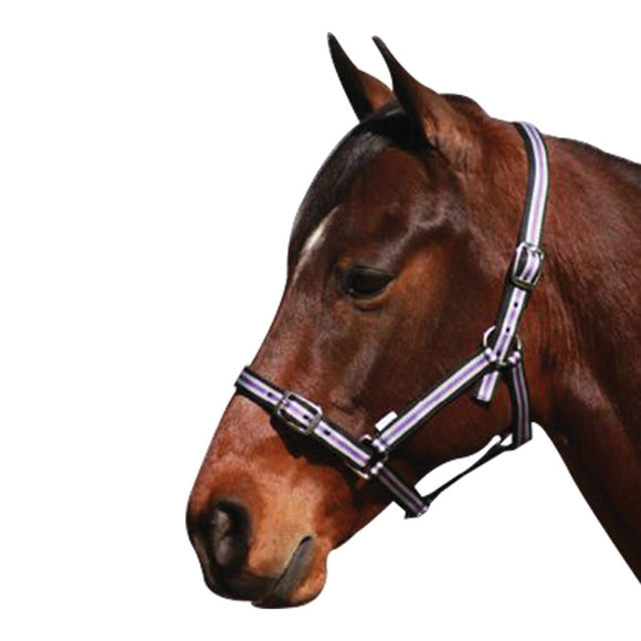 EUREKA – TRI COLOURED HEADSTALL - Rugs4horses