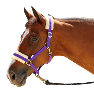 EUREKA – FLEECE BACKED HEADSTALL - Rugs4horses