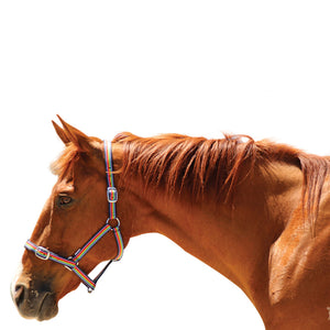 EUREKA – RAINBOW HEADSTALL - Rugs4horses