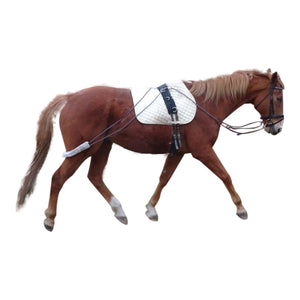 Showcraft Lunge Training System - Rugs4horses