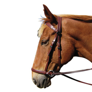 SHOWCRAFT – PVC BITLESS BRIDLE - Rugs4horses